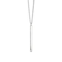 Silverhalsband med stav i pansarkedja.